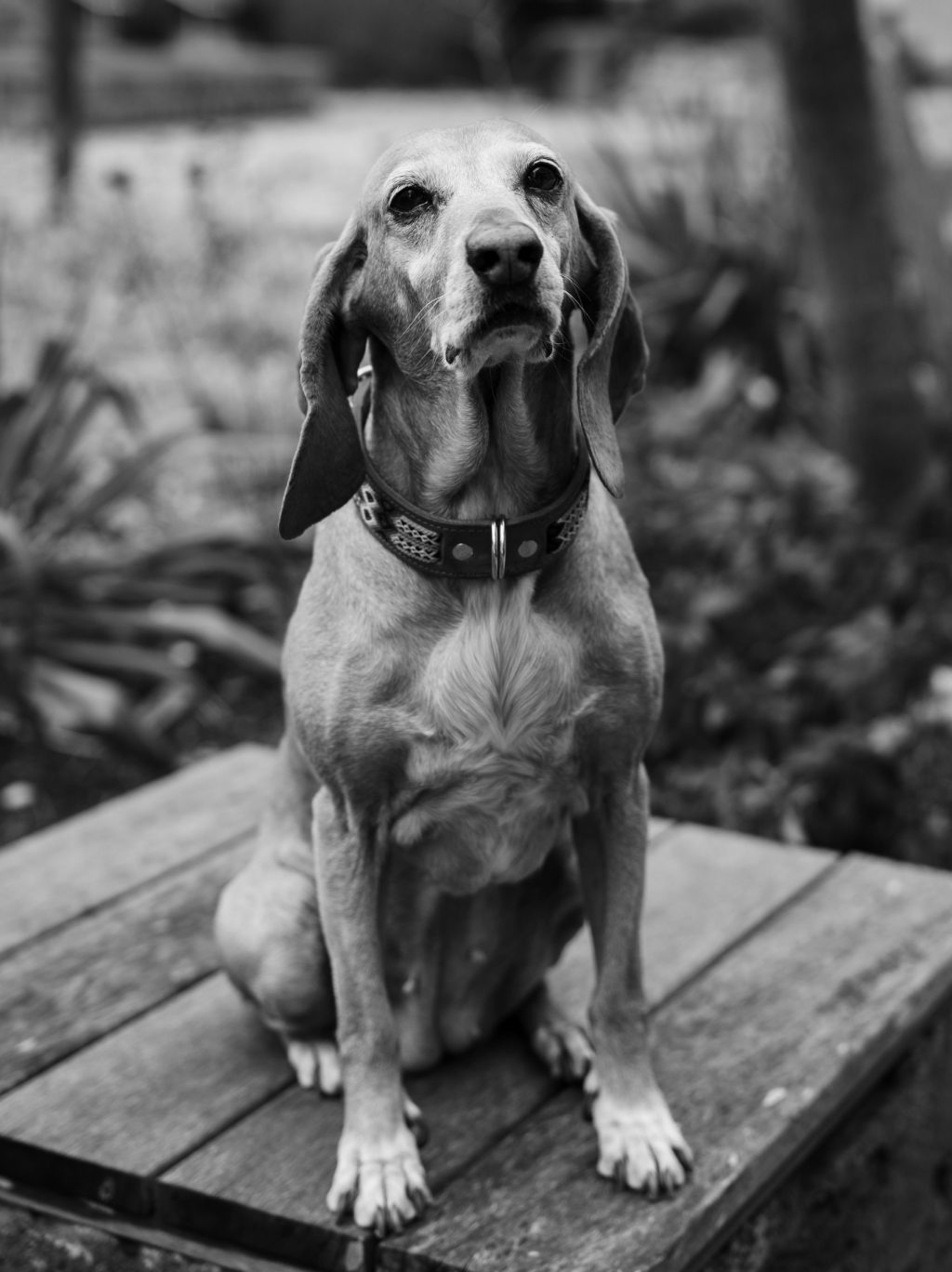 Lovis_Pangratz_PuK_Mitarbeitende_1426-2